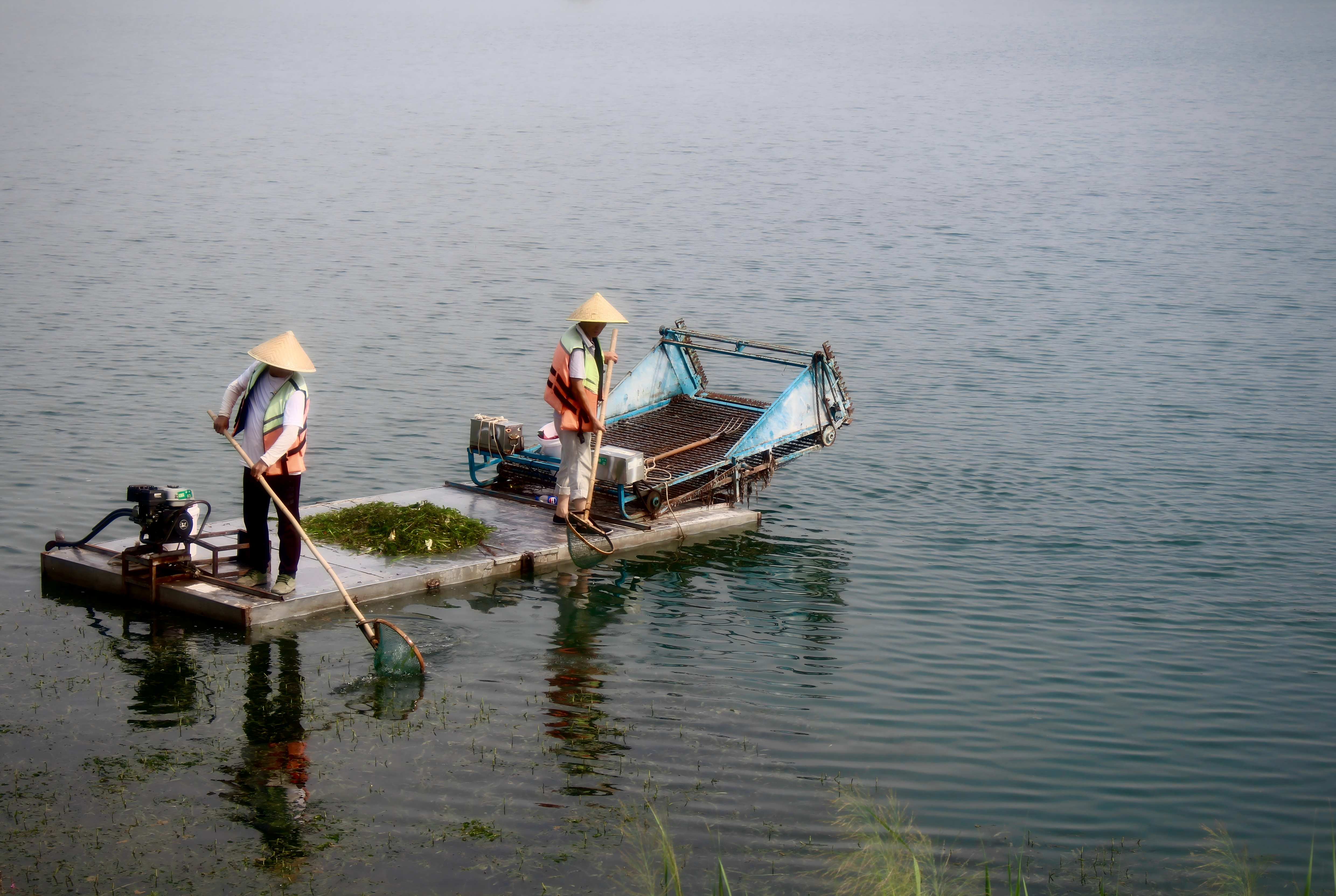 一等奖《水上“美容师”》聂光敏(1).jpg